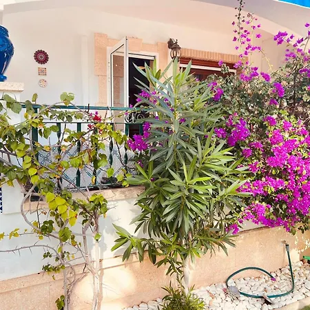 Apartment Playa Flamenca Groundfloor Jumilla Iii *